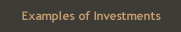 Examples of Investments